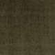 Loden